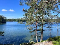 IMG_5514