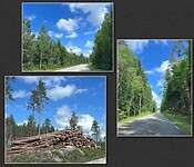 IMG_5676