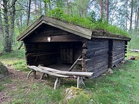 IMG_5854