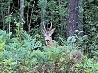 IMG_5868