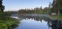 IMG_7870