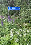 IMG_6015