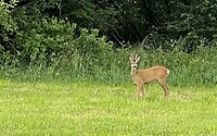 IMG_7881