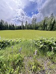 IMG_6099