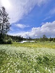 IMG_6103