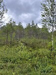 IMG_6165