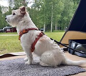 IMG_6171