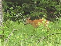 IMG_3619