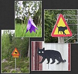 IMG_6188