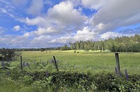 IMG_6199