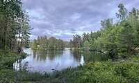 IMG_6219