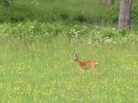 IMG_3627