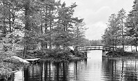 IMG_6220
