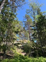 IMG_4744
