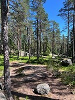 IMG_4758
