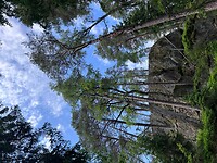 IMG_4978