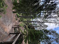 IMG_4980
