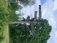 IMG_5135