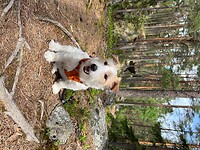 IMG_7529