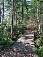 IMG_5219