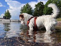 IMG_5244