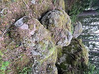 IMG_5386