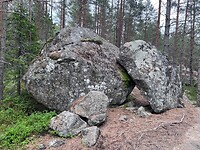 IMG_5384