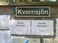 IMG_5474