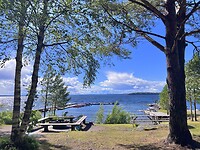 IMG_6252