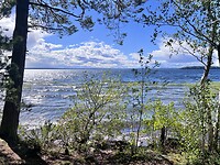 IMG_6256