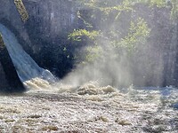 IMG_6284
