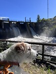 IMG_6290