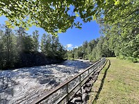 IMG_6311