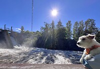 IMG_6309