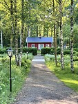 IMG_6333