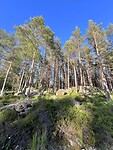 IMG_6344