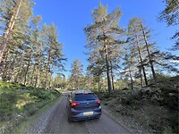 IMG_6345