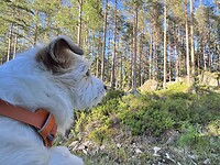 IMG_6350