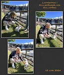 IMG_6372