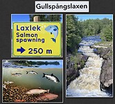 IMG_6374