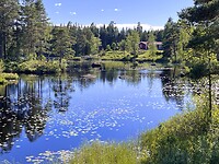 IMG_6388