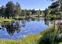 IMG_6389