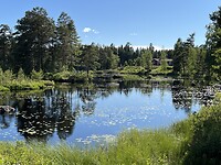 IMG_8021