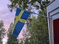 IMG_6446