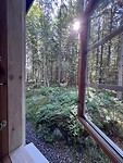 IMG_6499