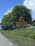 IMG_6520