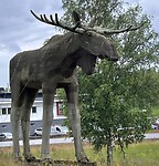 IMG_6527