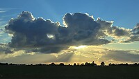 IMG_6594