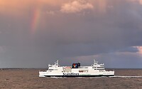 IMG_6644