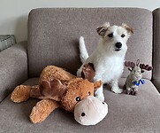 IMG_6695
